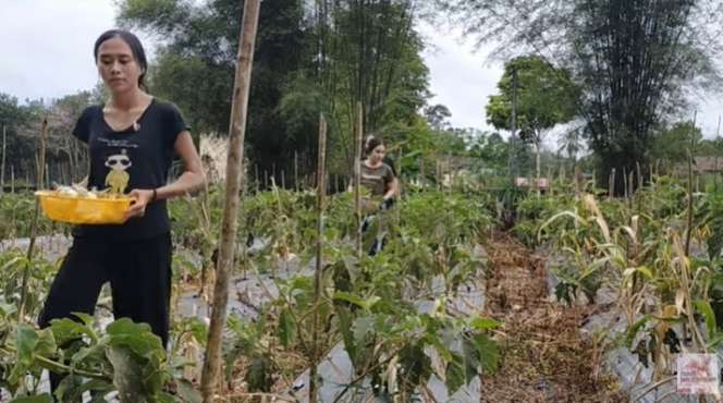 Potret Keseharian Gadis Suku Dayak, Jago Olah Sayur Jadi Makanan Populer!