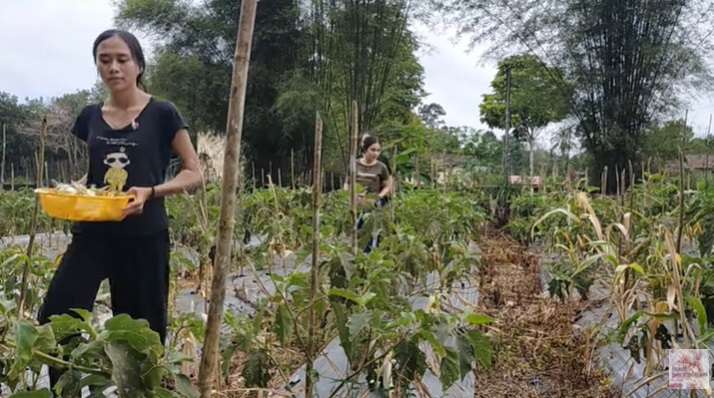 Potret Keseharian Gadis Suku Dayak, Jago Olah Sayur Jadi Makanan Populer!