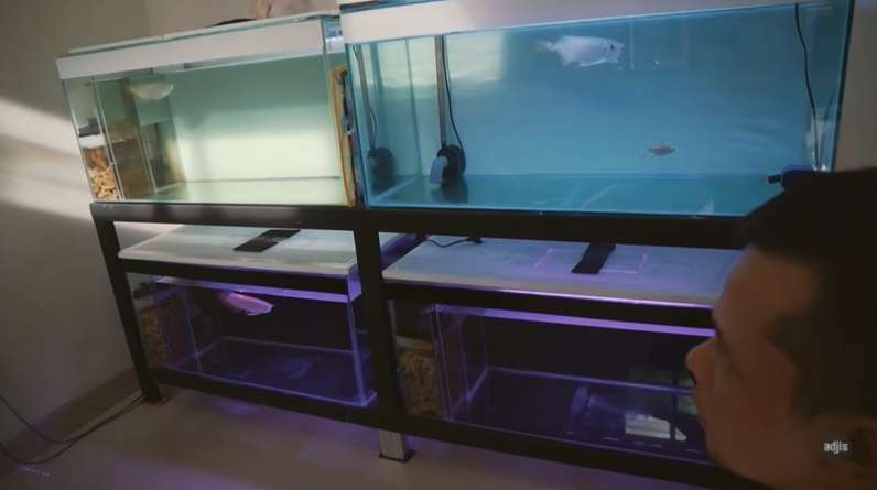 Terjerat Narkoba, Intip 10 Potret Kondisi Rumah Fico Fachriza yang Tak Pernah Tersorot!