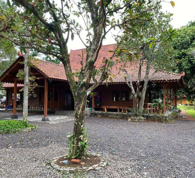 10 Penampakan Warung Kopi Milik Titiek Soeharto, Luarnya Sederhana Dalamnya Bikin Melongo!