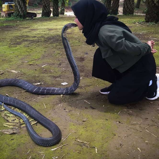 Ingat Aulia Khairunnisa, Gadis Cantik yang Viral Dicium King Kobra 4 Meter? Tak Tersorot, Kabarnya Kini Bikin Kaget