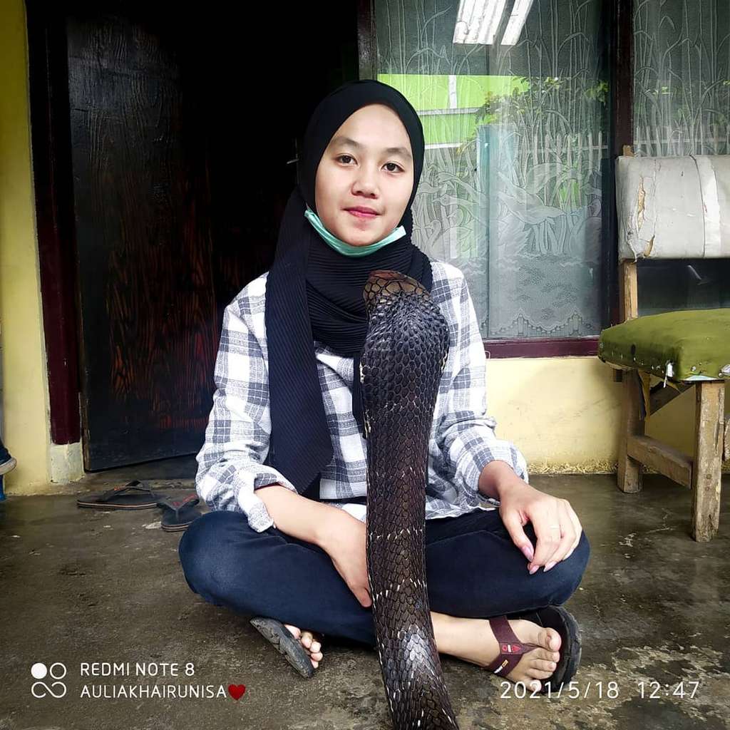 Ingat Aulia Khairunnisa, Gadis Cantik yang Viral Dicium King Kobra 4 Meter? Tak Tersorot, Kabarnya Kini Bikin Kaget