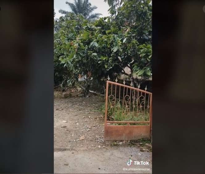 Tajir Melintir Sejak Dulu! 10 Potret Rumah Mewah Fuji di Kampung yang Baru Terungkap