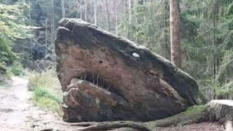 10 Penampakan Mirip Benda Nyeleneh Ini Bikin Mikir Keras!