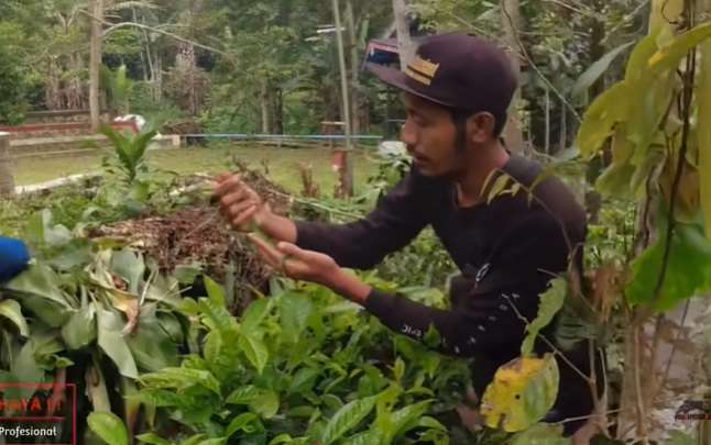 10 Momen Nekat Pawang Asal Indramayu Taklukan Ular Berbisa Penghuni Villa, Aksinya Bikin Bergidik!