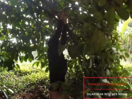 10 Momen Nekat Pawang Asal Indramayu Taklukan Ular Berbisa Penghuni Villa, Aksinya Bikin Bergidik!