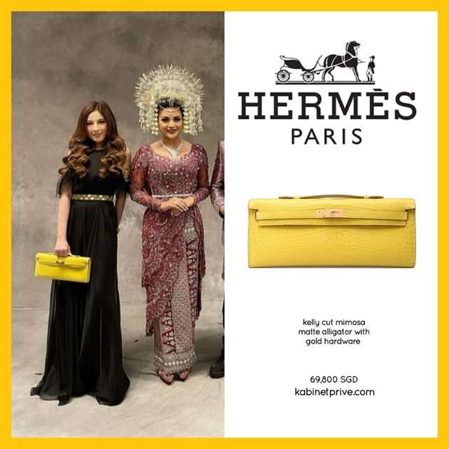 12 Koleksi Tas Hermes Shandy Purnamasari Crazy Rich Malang, Ada yang Capai Rp4 Miliar!
