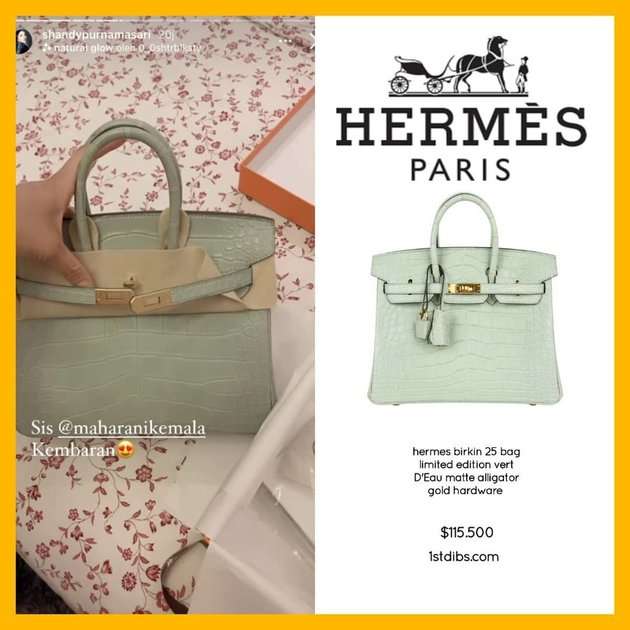 12 Koleksi Tas Hermes Shandy Purnamasari Crazy Rich Malang, Ada yang Capai Rp4 Miliar!