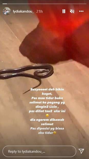 7 Potret Lidya Kandou Syok Temukan Ular di Selimut Tempat Tidur, Ukurannya Bikin Bergidik!