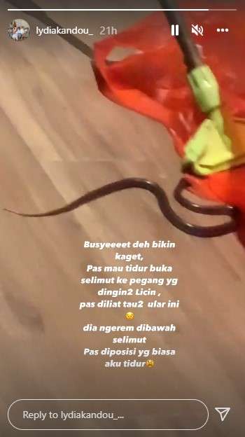 7 Potret Lidya Kandou Syok Temukan Ular di Selimut Tempat Tidur, Ukurannya Bikin Bergidik!
