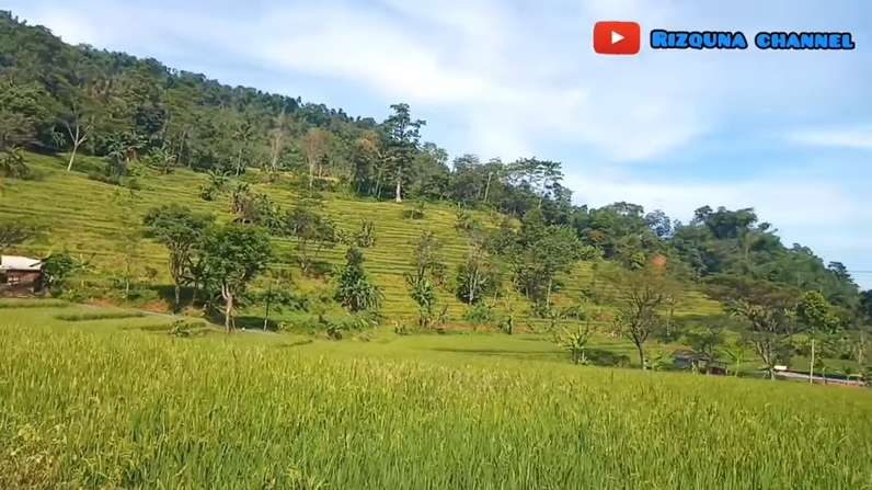 8 Potret Kondisi Rumah Komedian Ohang yang Jarang Tersorot, Ada di Tengah Sawah!