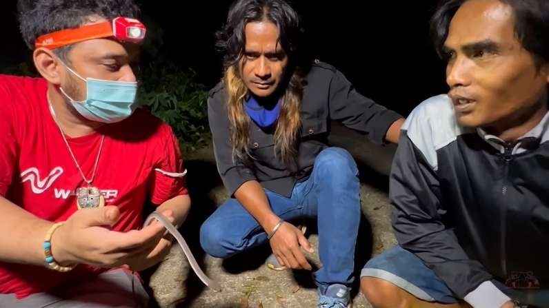 8 Potret Panji Petualang Temukan Ular Naga di Gunung Sunda, Ternyata Bukan Mitos!