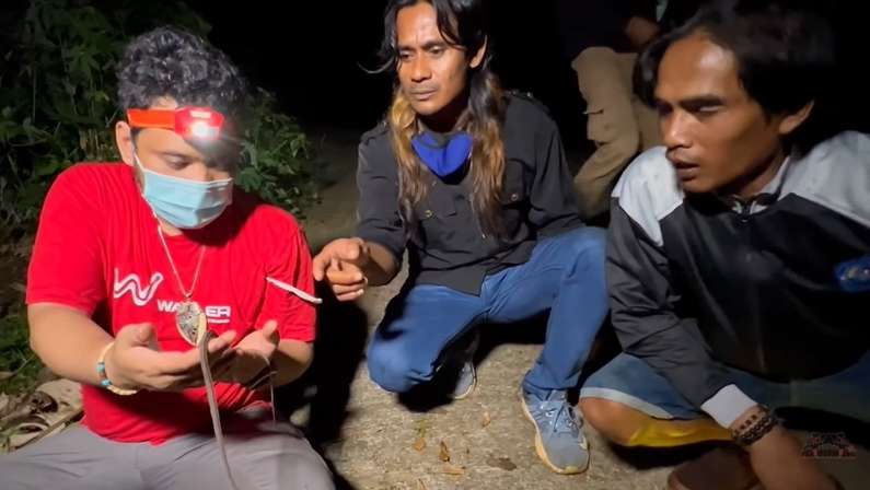 8 Potret Panji Petualang Temukan Ular Naga di Gunung Sunda, Ternyata Bukan Mitos!