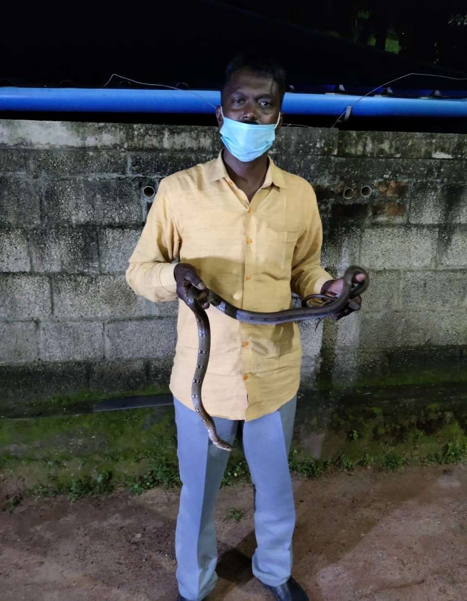 8 Potret ‘Manusia Ular’ Dipatuk King Cobra 3 Meter, Fungsi Otaknya Langsung Error
