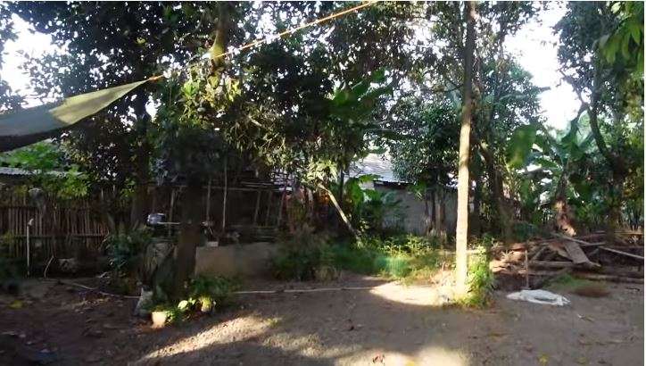 10 Potret Rumah Orangtua Indah Permatasari yang Jarang Tersorot, Ada Kebun Buah Luas!