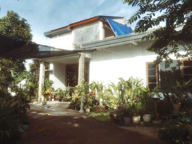 10 Potret Rumah Orangtua Indah Permatasari yang Jarang Tersorot, Ada Kebun Buah Luas!