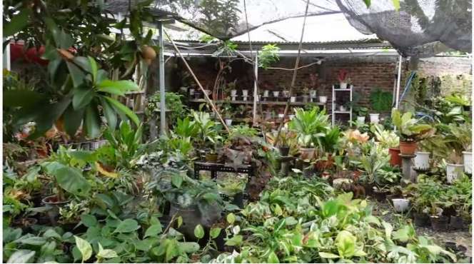 10 Potret Rumah Orangtua Indah Permatasari yang Jarang Tersorot, Ada Kebun Buah Luas!