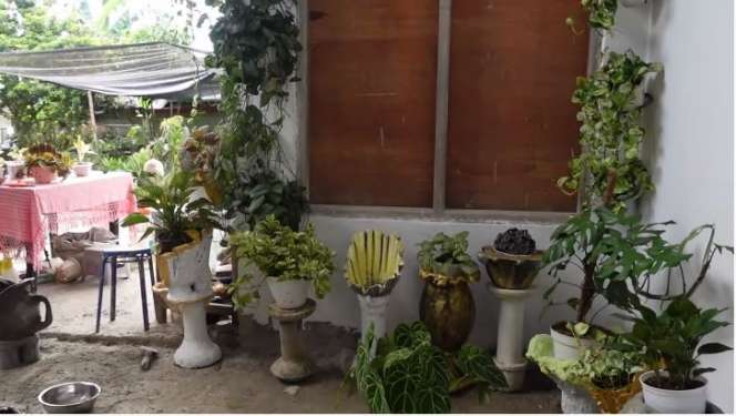 10 Potret Rumah Orangtua Indah Permatasari yang Jarang Tersorot, Ada Kebun Buah Luas!