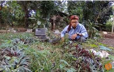 Setelah 15 Tahun Berlalu, Inilah 7 Potret Makam Taufik Savalas yang Kondisinya Disorot