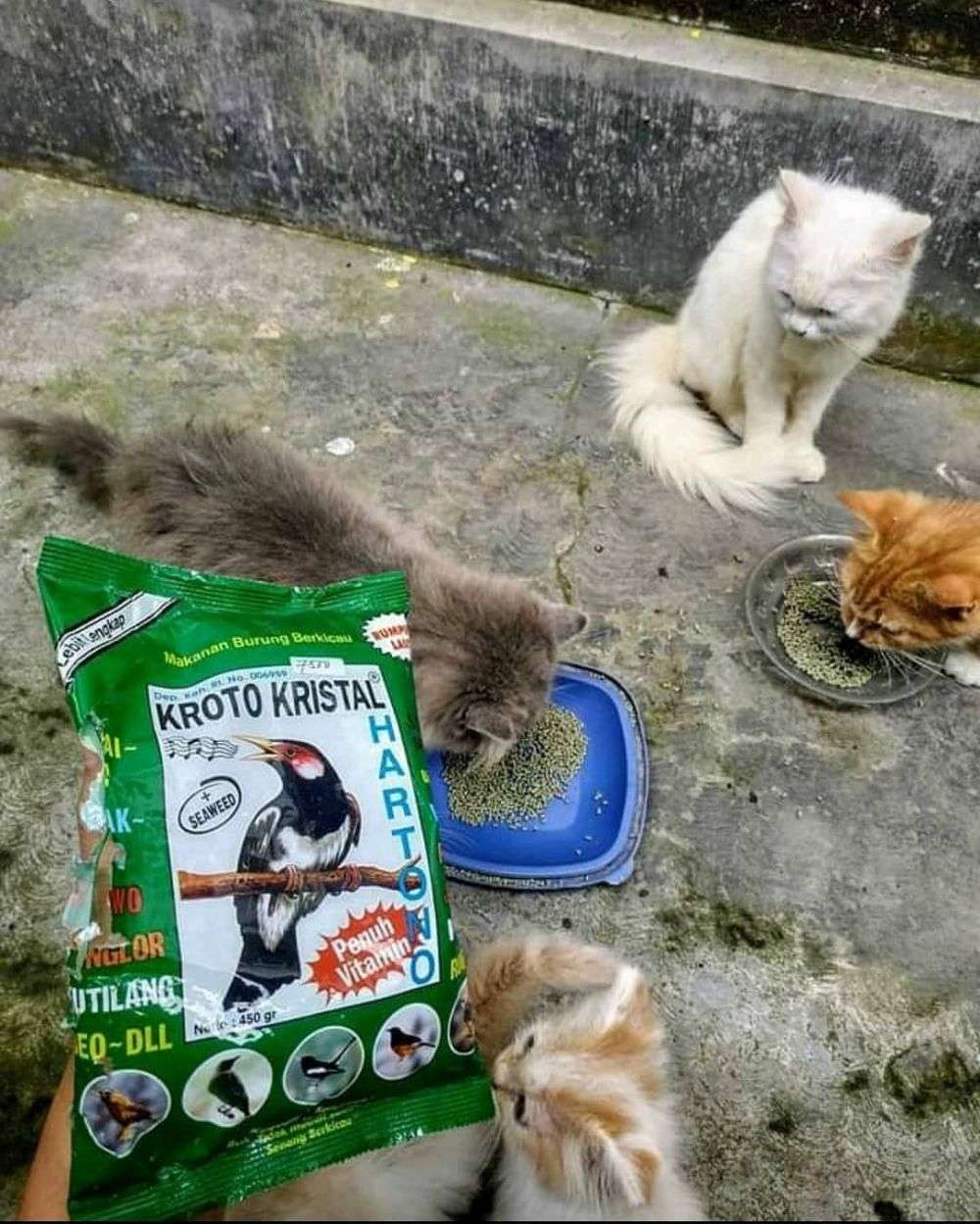 10 Momen Orang Melanggar Aturan, Bikin Heran Sendiri Lihat Aksinya