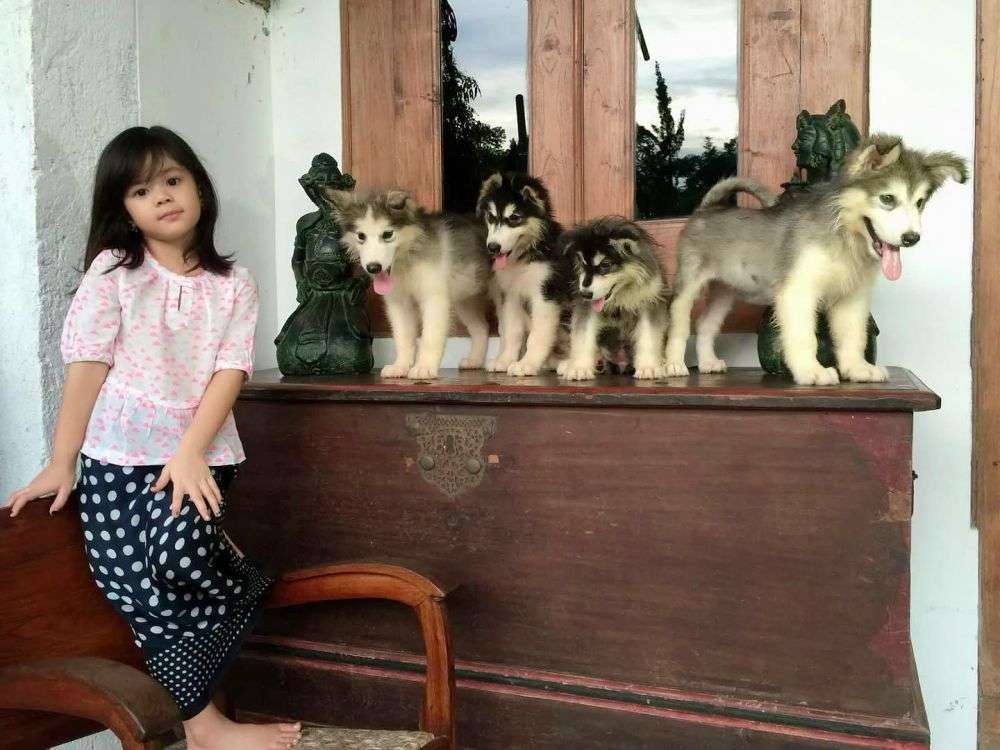 10 Transformasi Safeea Anak Ahmad Dhani dan Mulan Jameela, Gaya Fashionnya Curi Perhatian!
