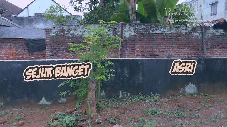 10 Potret Rumah Farida Nurhan Saat Masih Jadi TKW, Terbengkalai, Kamar Mandi Penuh Cacing