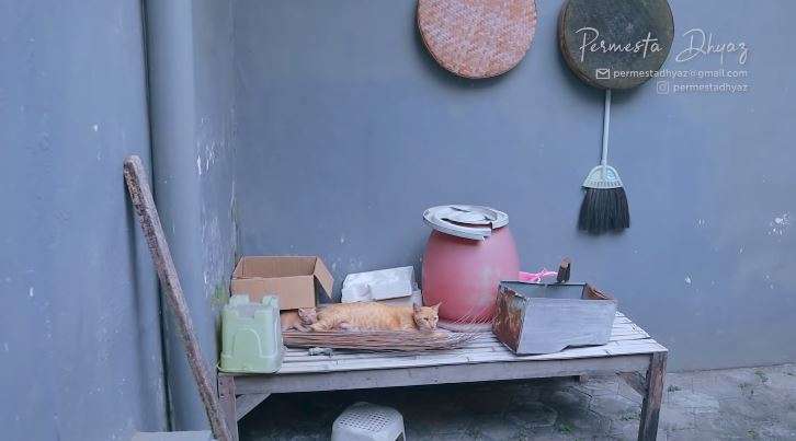 10 Potret Rumah Farida Nurhan Saat Masih Jadi TKW, Terbengkalai, Kamar Mandi Penuh Cacing