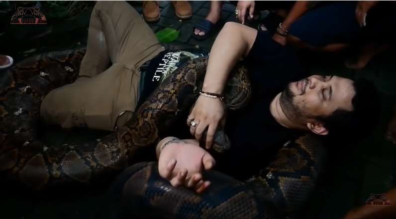 9 Potret Panji Petualang Dililit Ular Raksasa 8 Meter, Tim Histeris, Harus Diangkat 9 Orang!