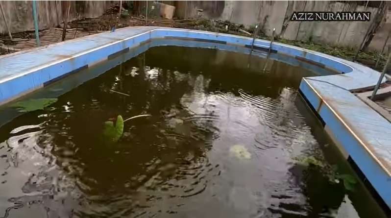 10 Potret Rumah Mewah Milik Artis Terbengkalai 20 Tahun, Ada Kerangkeng Binatang, Ngeri!