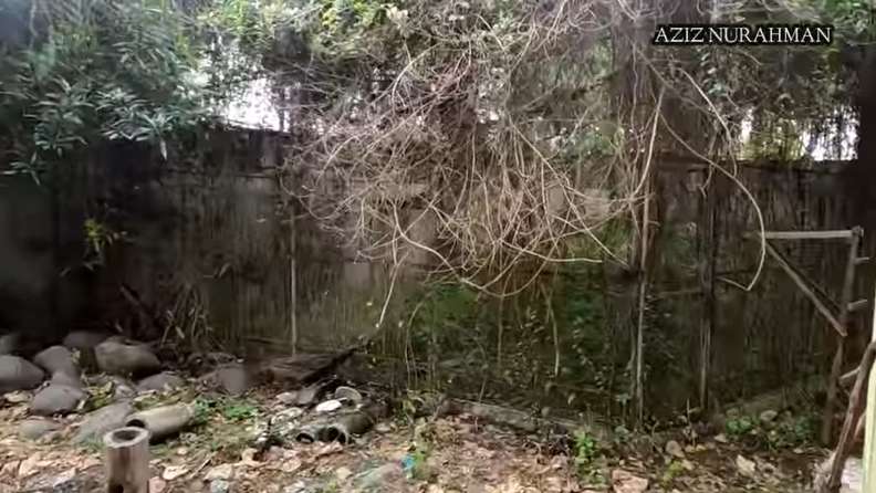 10 Potret Rumah Mewah Milik Artis Terbengkalai 20 Tahun, Ada Kerangkeng Binatang, Ngeri!