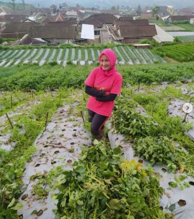 7 Potret Terbaru Novi Listiani Dibuan Cantik yang Alih Profesi Jadi Petani, Kini Mantap Berhijab!