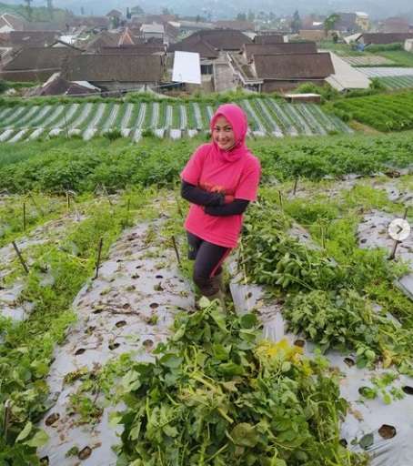 7 Potret Terbaru Novi Listiani Dibuan Cantik yang Alih Profesi Jadi Petani, Kini Mantap Berhijab!