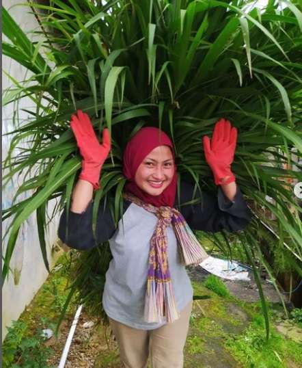 7 Potret Terbaru Novi Listiani Dibuan Cantik yang Alih Profesi Jadi Petani, Kini Mantap Berhijab!
