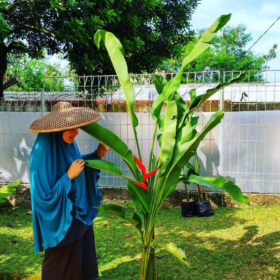 8 Potret Rumah Dewi Hughes yang Jarang Tersorot, Depannya Ada Danau, Mewah Abis!