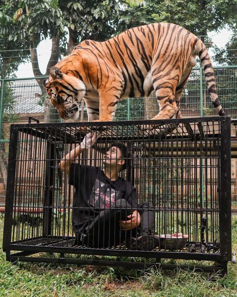 10 Potret Rumah Alshad Ahmad Pacar Tiara Andini, Super Mewah Rp300 Miliar, Ada Kandang Harimau!