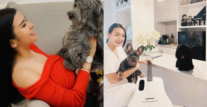 8 Adu Gaya Maria Vania dan Amanda Manopo yang Pernah Dekat Dengan Billy Syahputra!