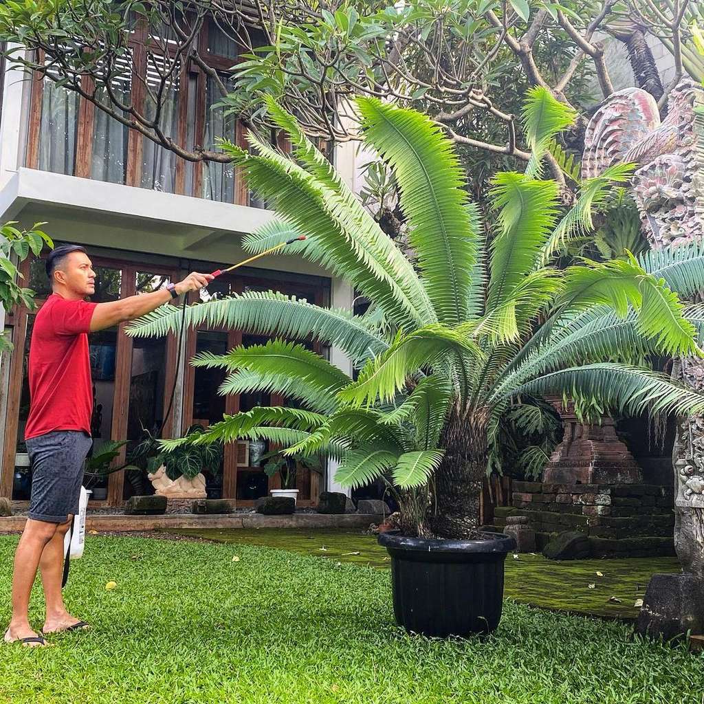 12 Potret Rumah Anjasmara, Dulu Diejek Mirip Kandang Burung Oleh Mertua Kini Mewah Bak Istana 
