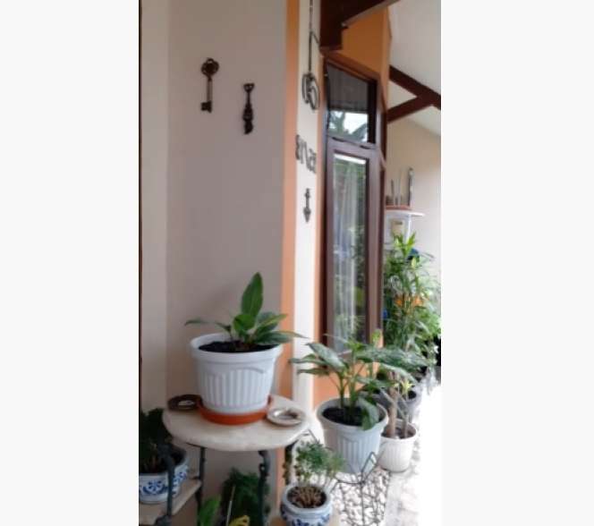10 Potret Rumah Leily Sagita Si ‘Ratu Antagonis’, Tak Semewah di Sinetron, Ada Empang Kecil