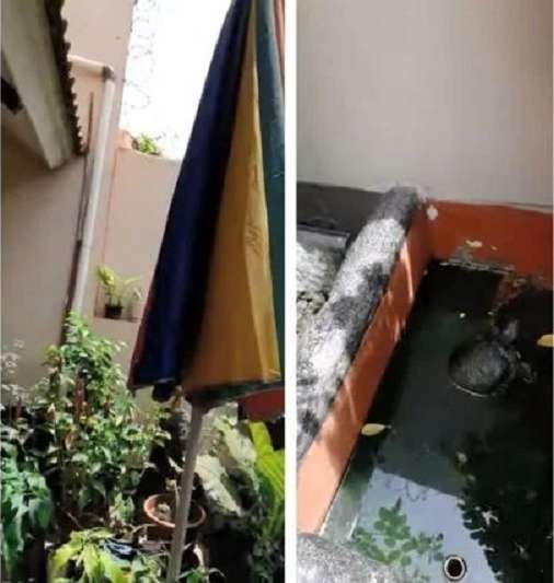 10 Potret Rumah Leily Sagita Si ‘Ratu Antagonis’, Tak Semewah di Sinetron, Ada Empang Kecil