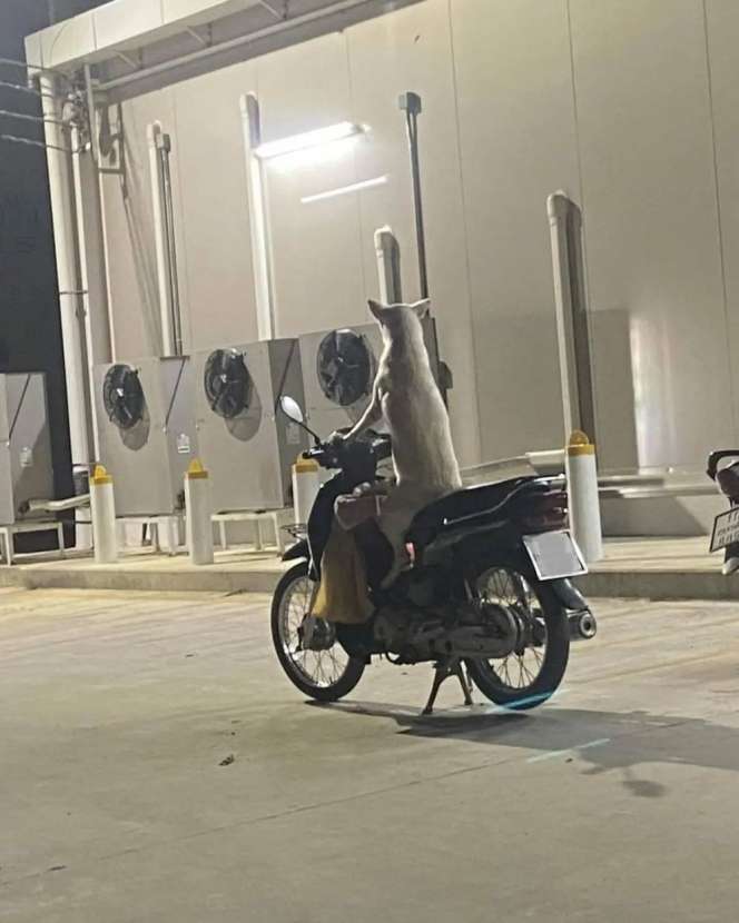 10 Momen Ngagetin di Tengah Jalan, Bikin Pengen Putar Balik!