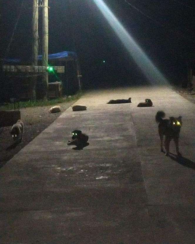 10 Momen Ngagetin di Tengah Jalan, Bikin Pengen Putar Balik!