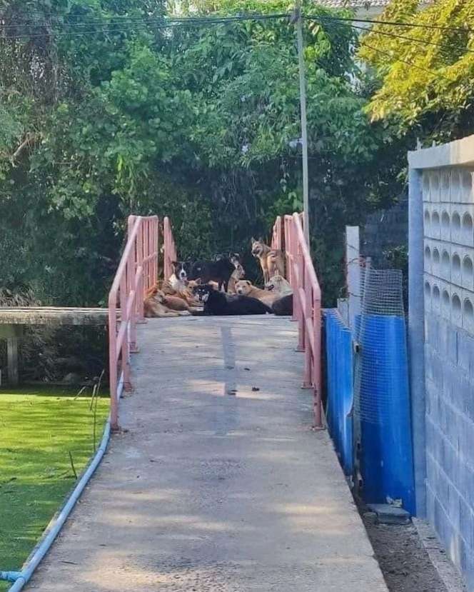 10 Momen Ngagetin di Tengah Jalan, Bikin Pengen Putar Balik!
