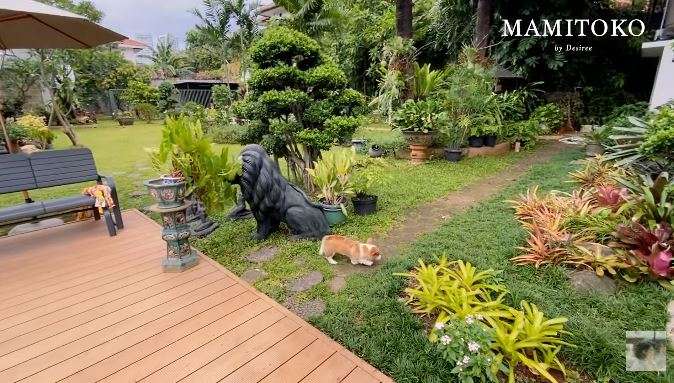 10 Potret Rumah Bams Samsons yang Super Mewah & Luas, Ada Ruang Koleksi Batman, Bikin Melongo!