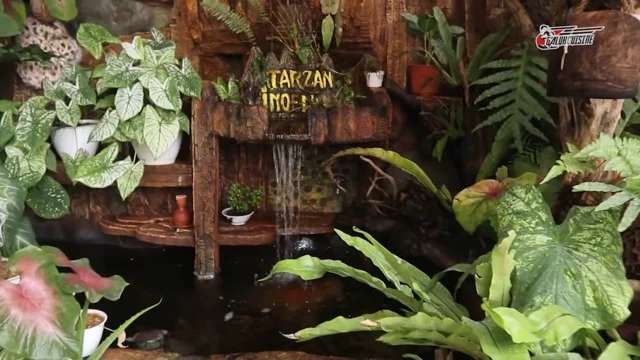 10 Potret Mewahnya Rumah Dede Inoen yang Tak Terekspos, Youtube Viral Pemakan ‘Raja Jin’
