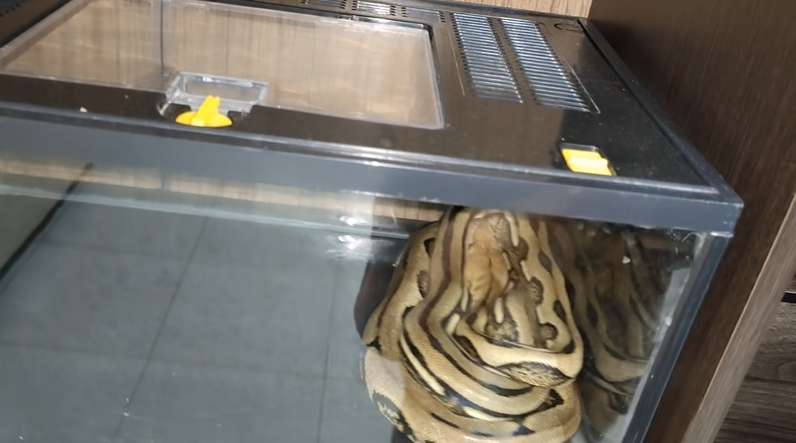 10 Potret Mewahnya Rumah Dede Inoen yang Tak Terekspos, Youtube Viral Pemakan ‘Raja Jin’