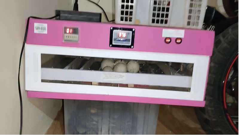 10 Potret Mewahnya Rumah Dede Inoen yang Tak Terekspos, Youtube Viral Pemakan ‘Raja Jin’