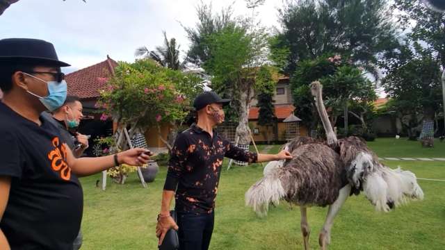10 Potret Vila Mewah Milik Ketua MPR Bambang Soesatyo, Ada Singa Berkeliaran Bebas di Taman