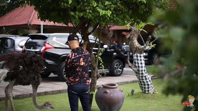 10 Potret Vila Mewah Milik Ketua MPR Bambang Soesatyo, Ada Singa Berkeliaran Bebas di Taman