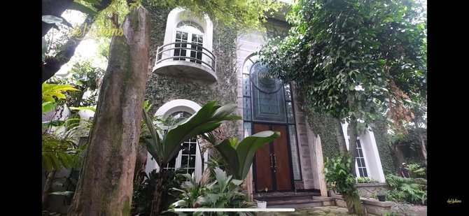 10 Potret Rumah Mewah Haji Asari, Bak Hutan di Tengah Kota, Ada Pohon Usia 15 Juta Tahun