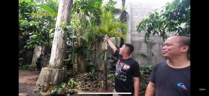 10 Potret Rumah Mewah Haji Asari, Bak Hutan di Tengah Kota, Ada Pohon Usia 15 Juta Tahun